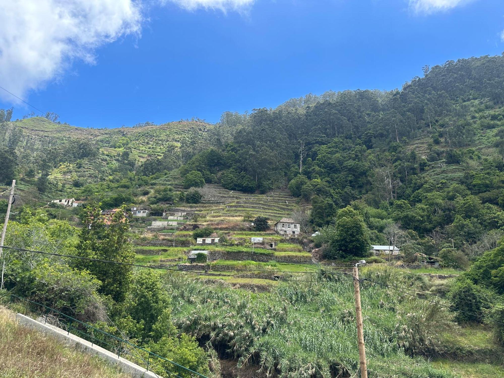 Villa Casa Rosa à Ribeira Brava Extérieur photo